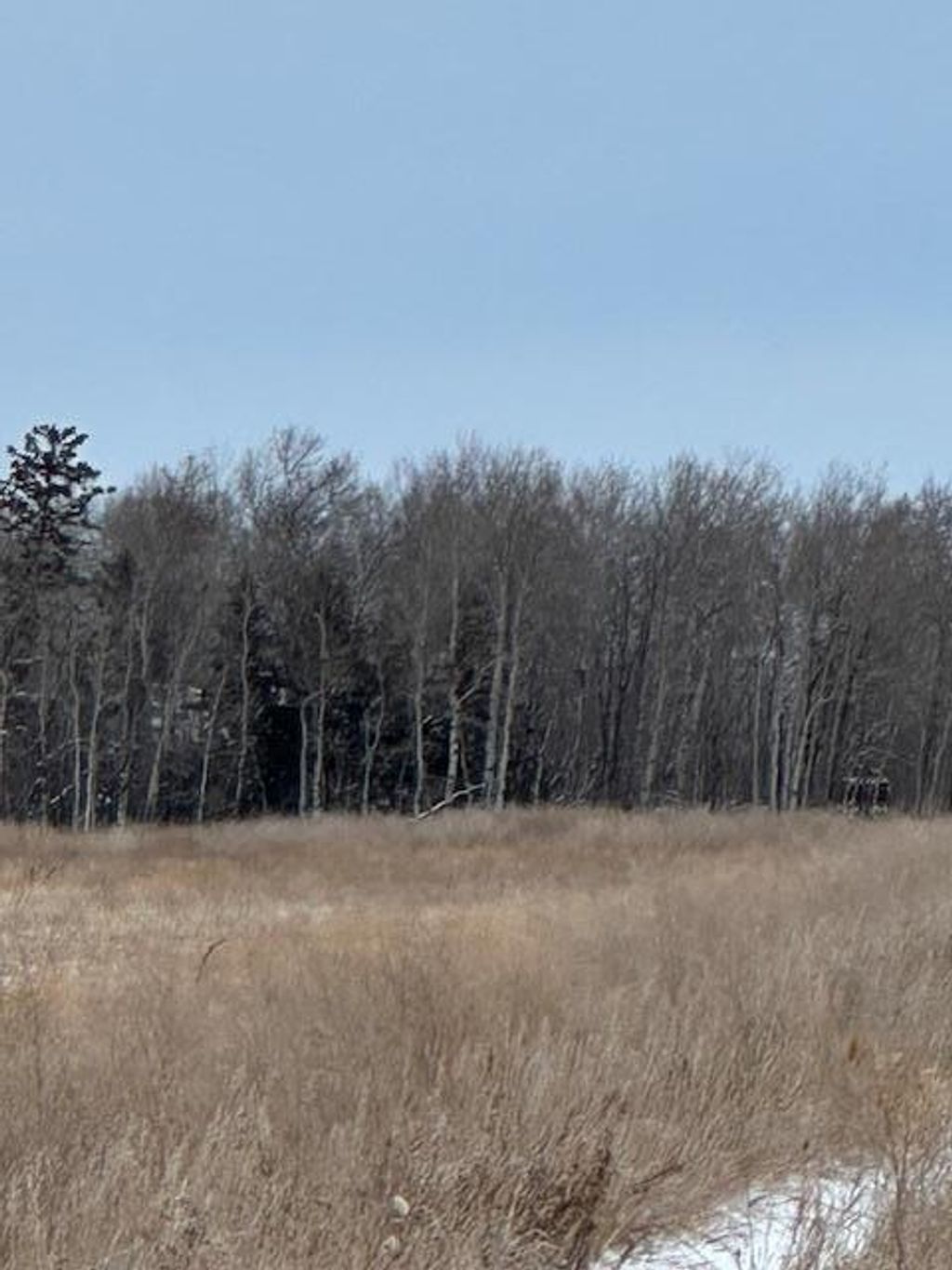 Photo of 00000 County Road 6, Karlstad, MN 56732 (MLS # 6826874)