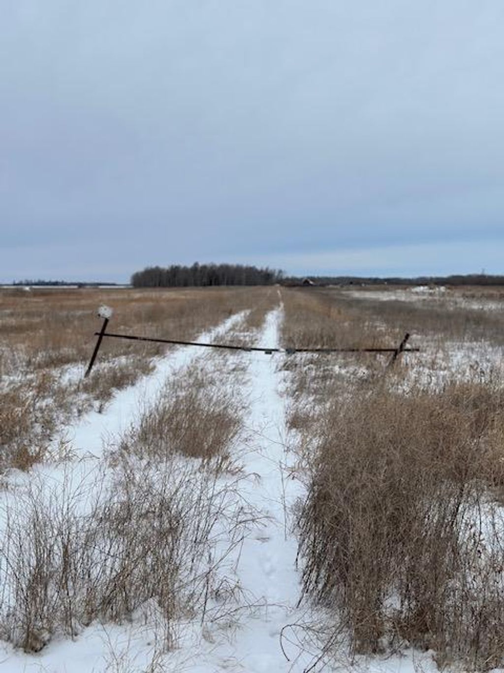 Photo of 00000 County Road 6, Karlstad, MN 56732 (MLS # 6826874)