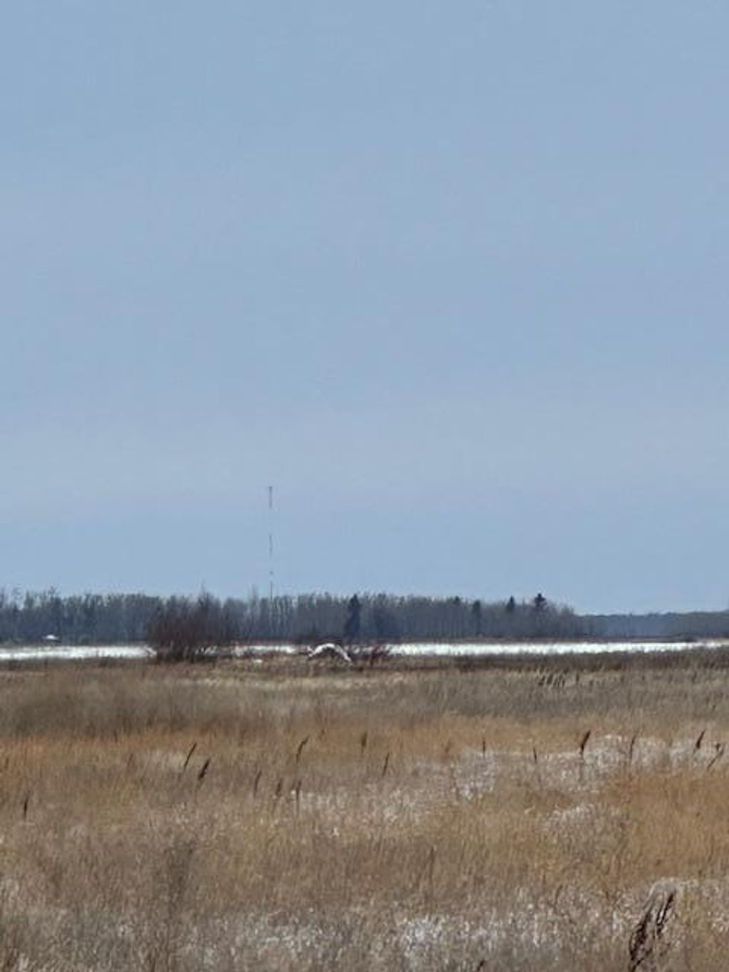 Photo of 00000 County Road 6, Karlstad, MN 56732 (MLS # 6826874)