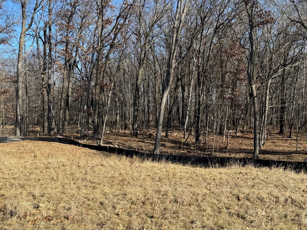 Photo of 14885 Stutz Street NE, Ham Lake, MN 55304 (MLS # 6825574)