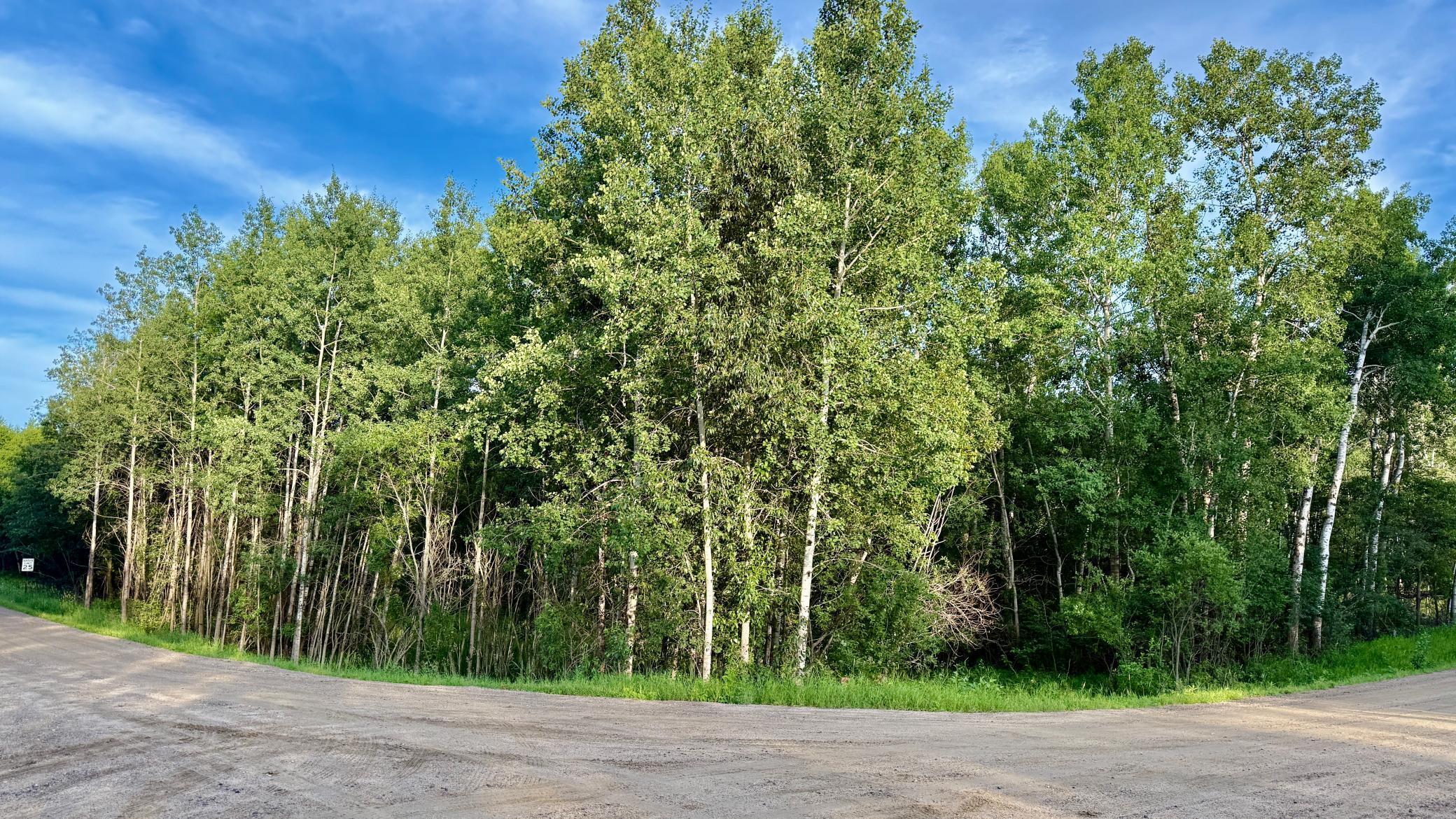 TBD Holly Road