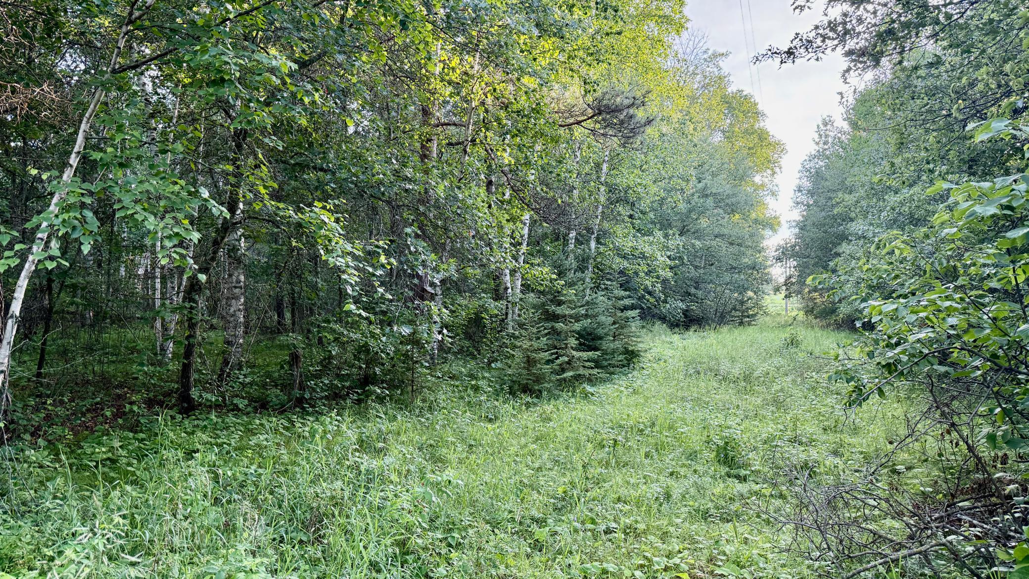 TBD Holly Road