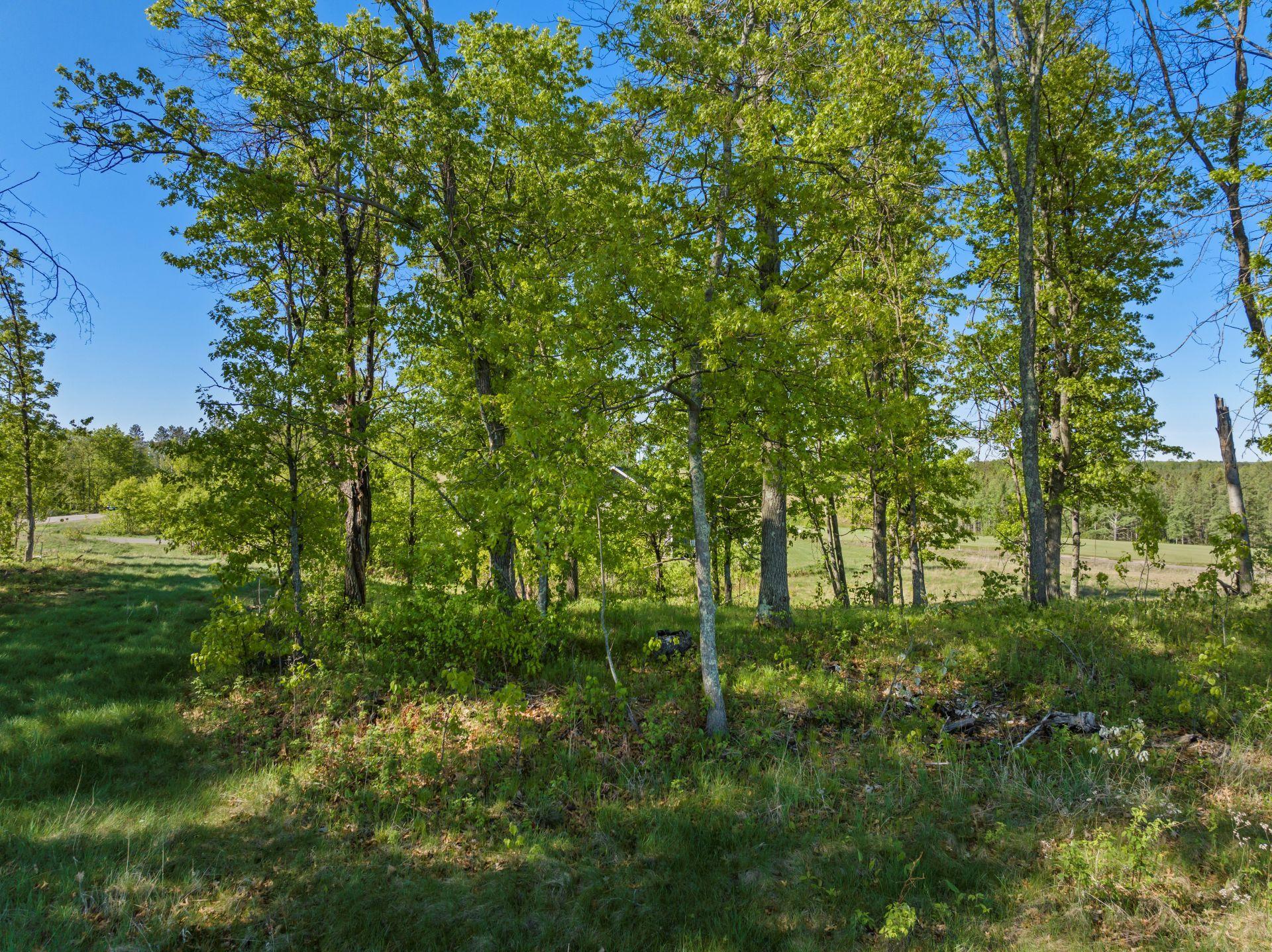 Lot 15 .58 Acres 16435 Tom Lehman Drive