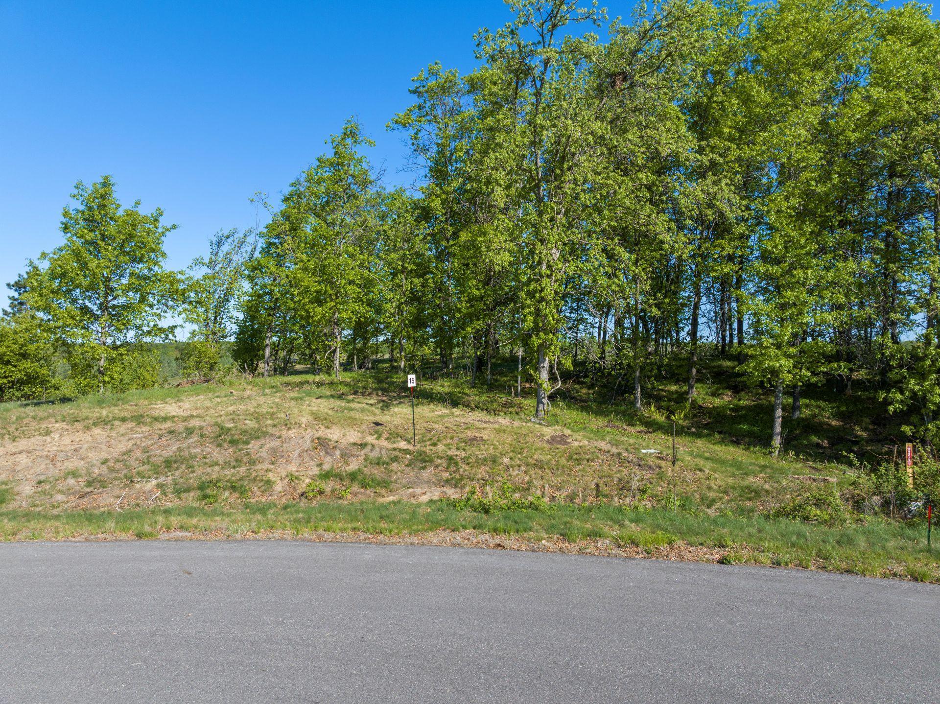 Lot 15 .58 Acres 16435 Tom Lehman Drive