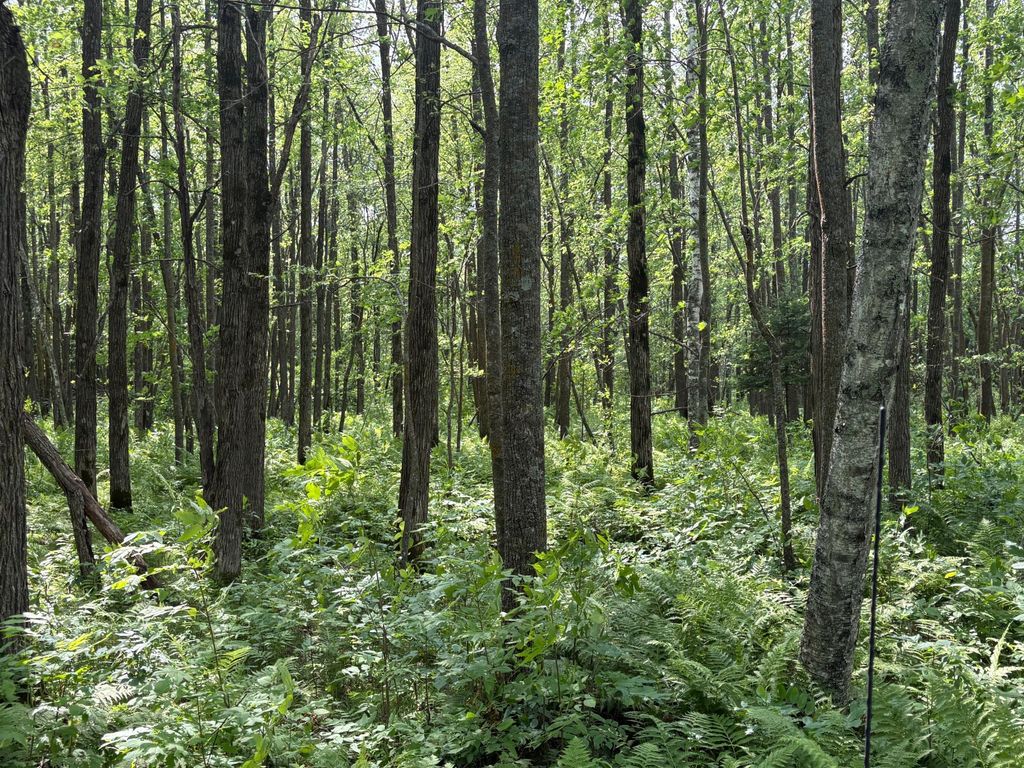 Photo of 560th Street, Palisade, MN 56469 (MLS # 7113837)