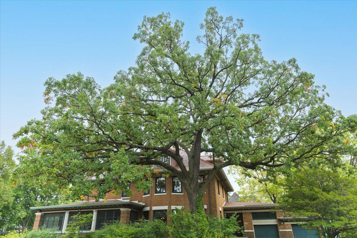 94 Crocus Place