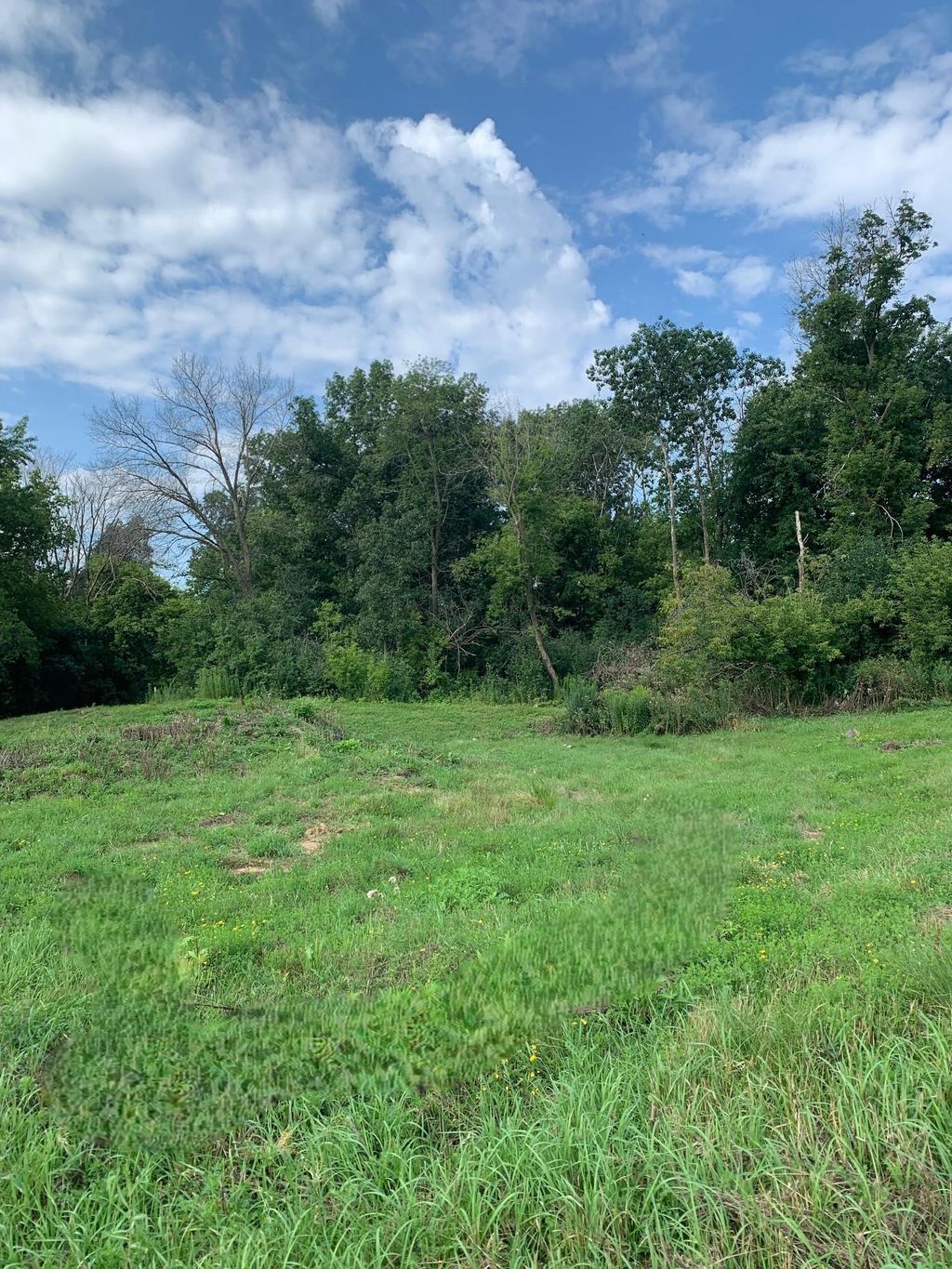 Photo of 11700 Azure Lane, Inver Grove Heights, MN 55077 (MLS # 7018868)