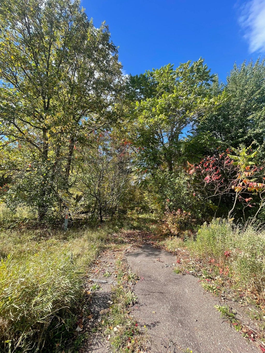 Photo of 1383 Highway 107, Grasston, MN 55030 (MLS # 7160626)
