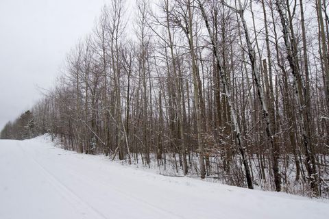 XXXX Sheridan Woods Lane NE Outing MN 56662