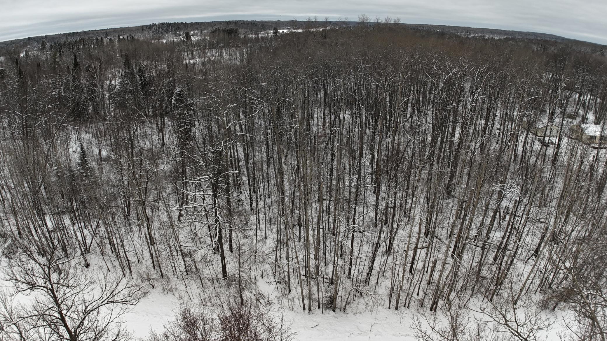 XXXX Sheridan Woods Lane NE