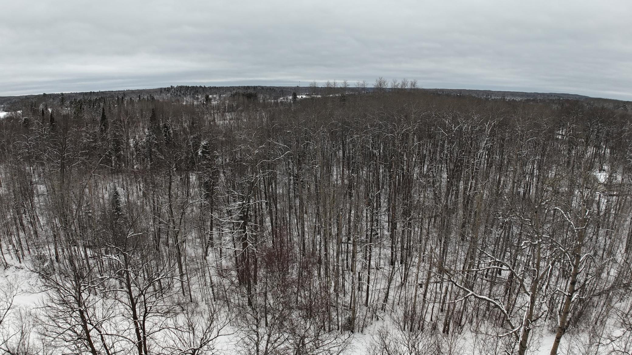 XXXX Sheridan Woods Lane NE