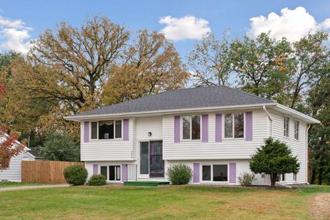 253 Stardust Boulevard Circle Pines MN 55014