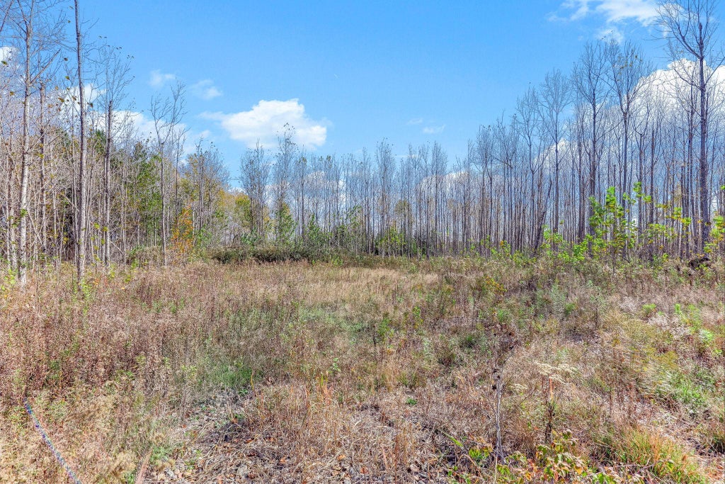 Photo of 3041 320th Avenue, Brook Park, MN 55007 (MLS # 7165678)
