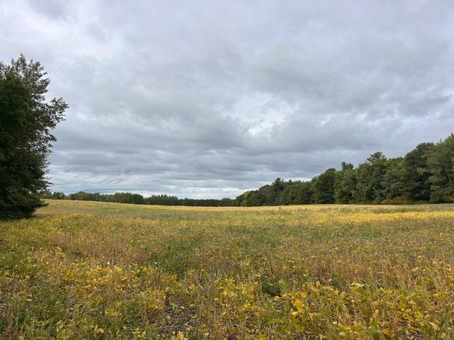 Photo of TBD Melody Street, Braham, MN 55006 (MLS # 7147657)