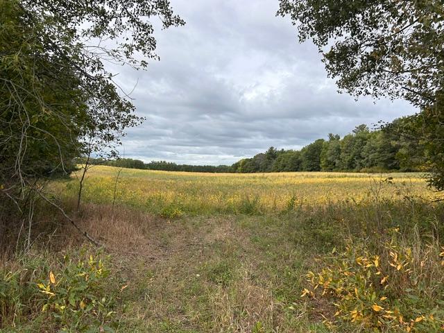 Photo of TBD Melody Street, Braham, MN 55006 (MLS # 7147657)