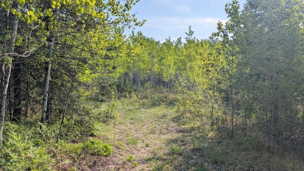 Photo of 7573 Thumbnail Drive, Embarrass, MN 55732 (MLS # 7088212)