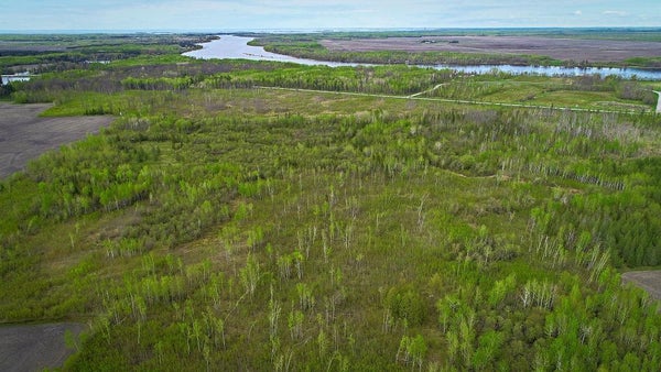 TBD STATE HWY 172 CLIFF, BAUDETTE, MN 56623 - Image 3779a4c02eae024a5e54fb7d8bb4be20/1997766072