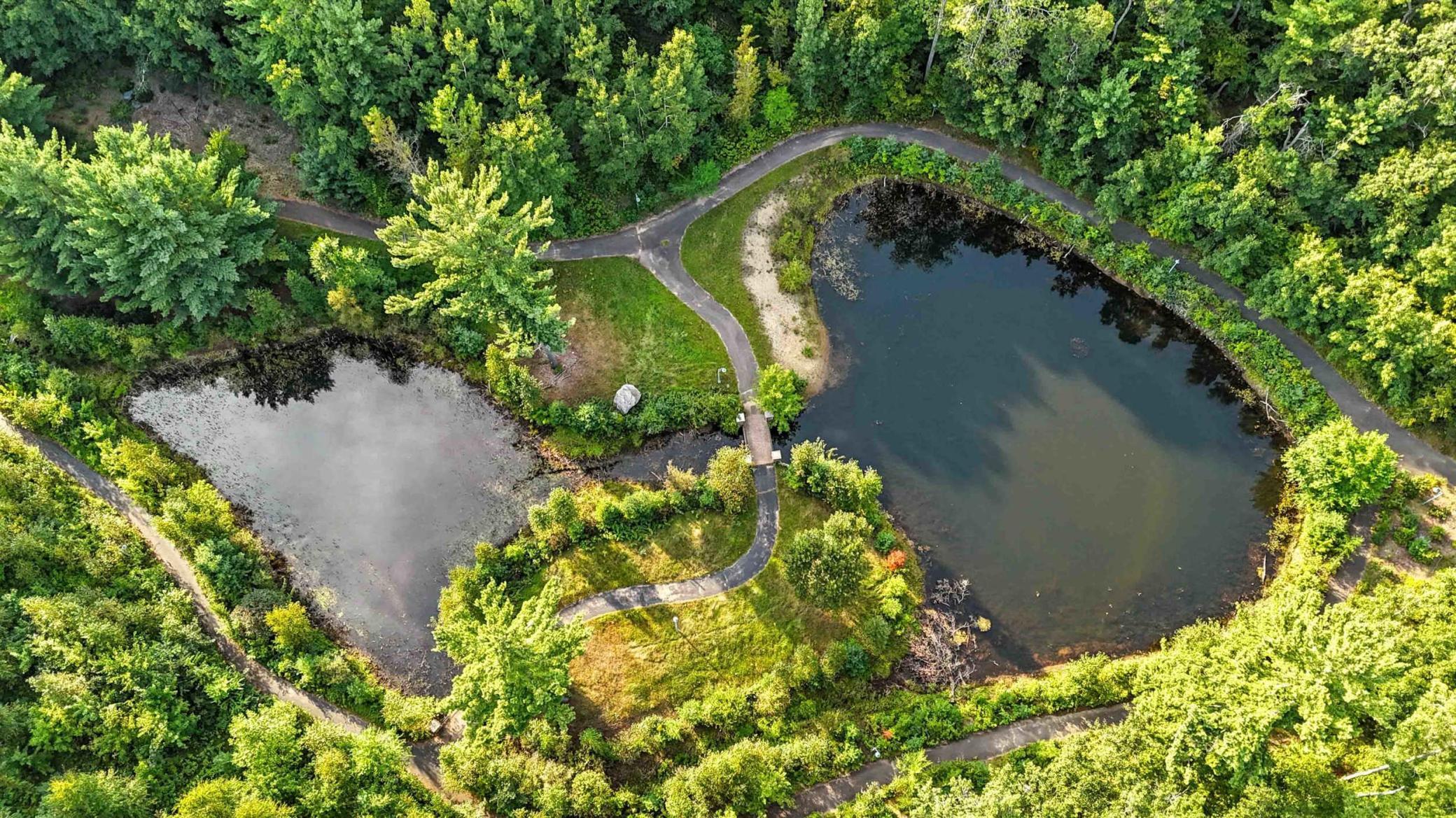 15800 Old Stonebridge Trail