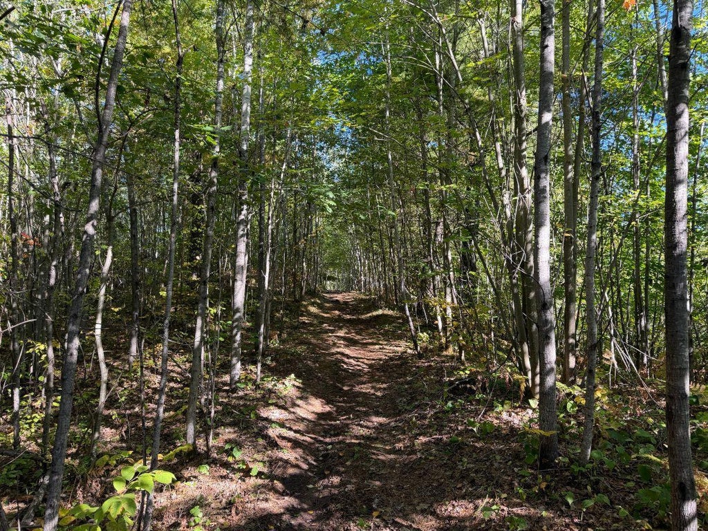 Photo of TBD Estates, Kerrick, MN 55756 (MLS # 7154571)