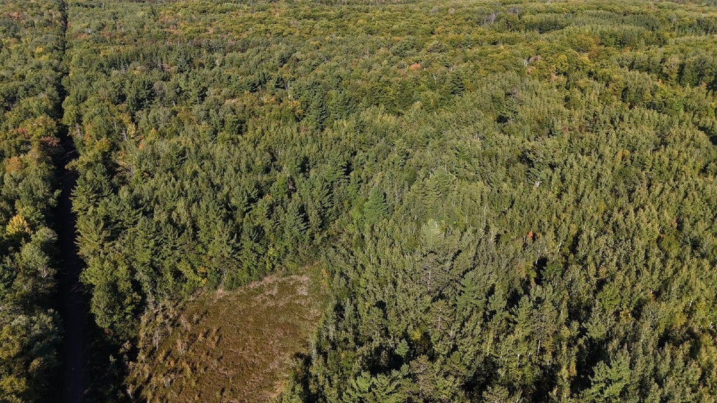 Photo of TBD Estates, Kerrick, MN 55756 (MLS # 7154571)