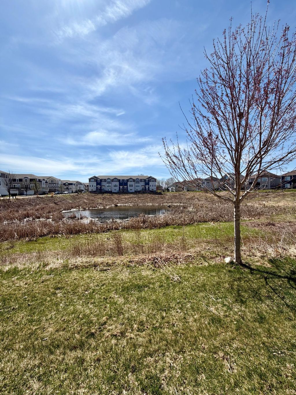 Photo of 776 Roselyn Drive, Victoria, MN 55386 (MLS # 7060645)