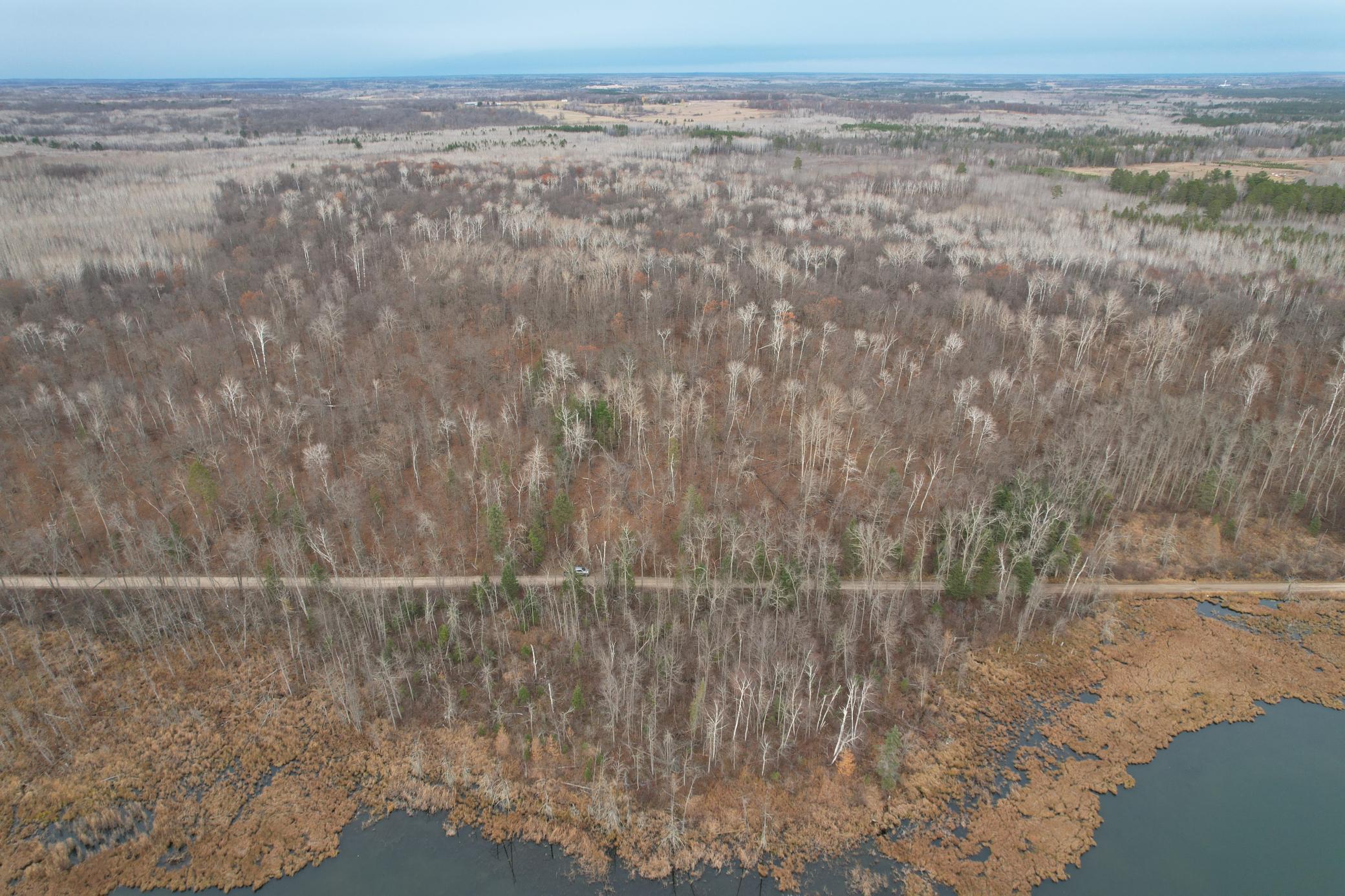 35394 Gulch Forest Trail W