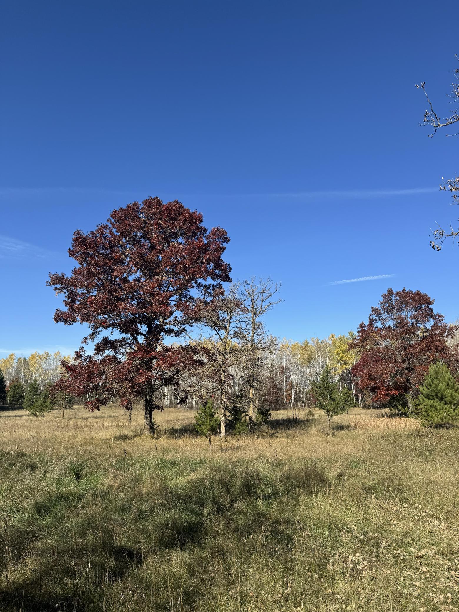 Lot 2 Grant Street