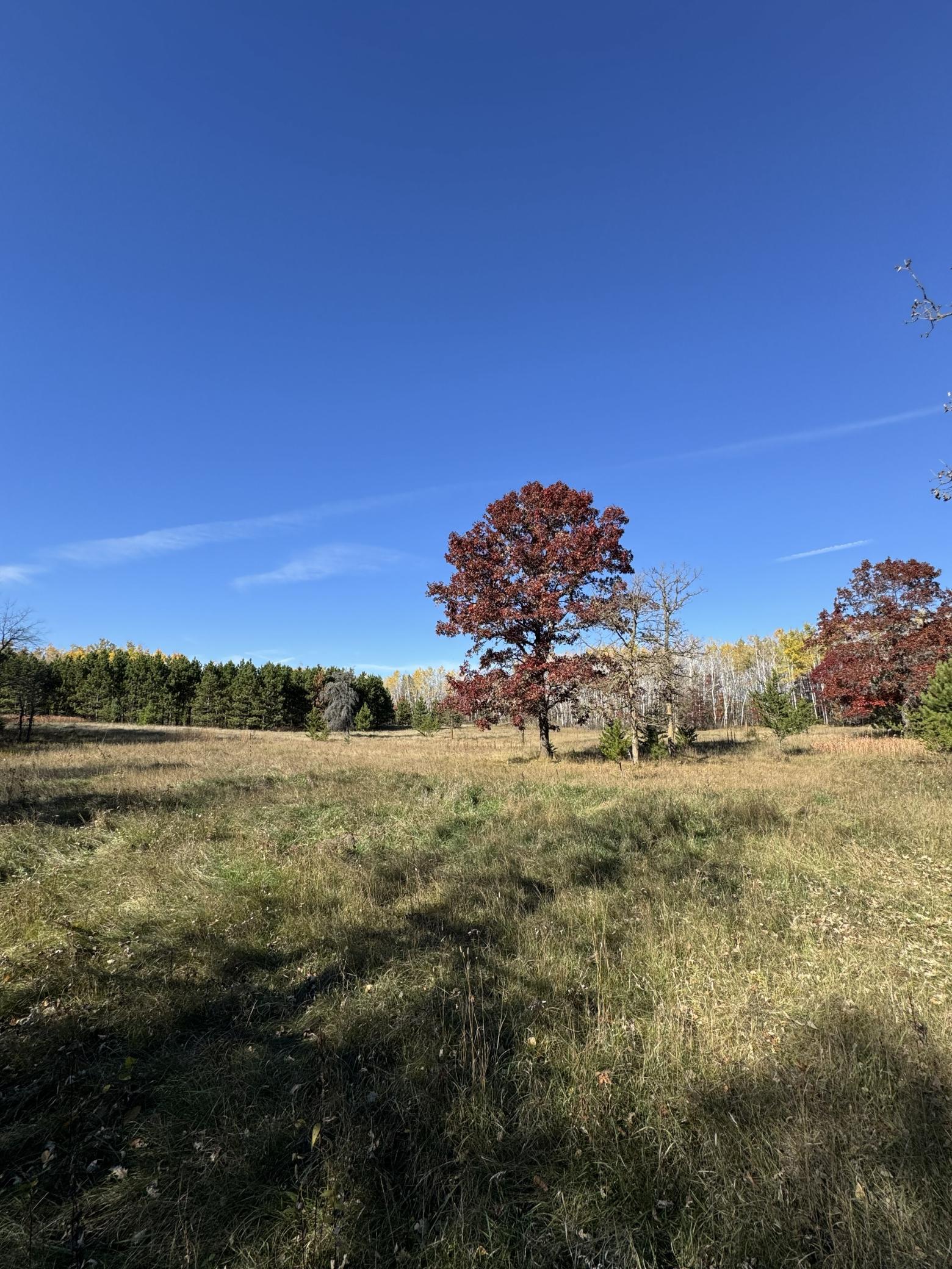 Lot 2 Grant Street