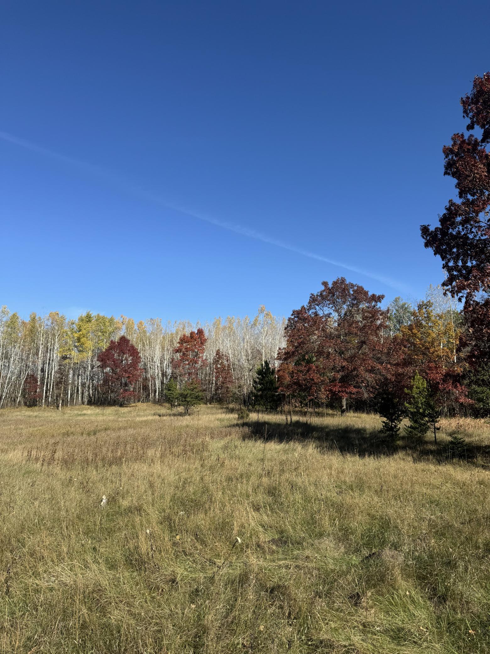 Lot 2 Grant Street