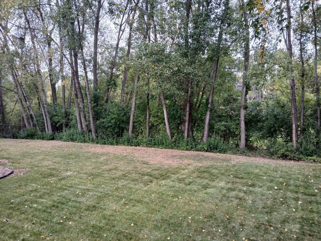 Photo of 9040 Parkside Drive, Woodbury, MN 55125 (MLS # 7150889)