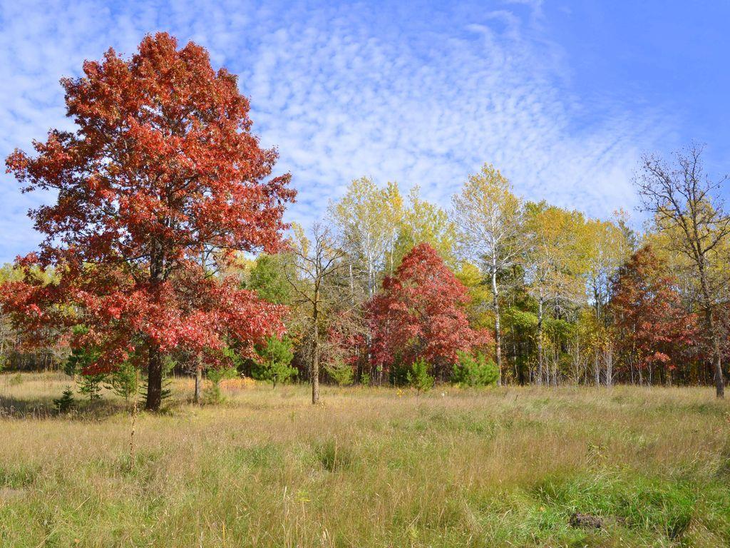 Photo of XXX Grant Street, Park Rapids, MN 56470 (MLS # 7158903)