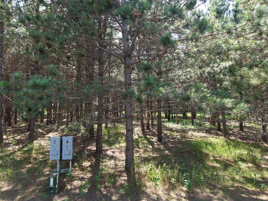 1115 SUNSET LOOP UNIT 30, PARK RAPIDS, MN 56470 - Image 39a7ff366e00e8ed86816a2f07beebc8/1474853130