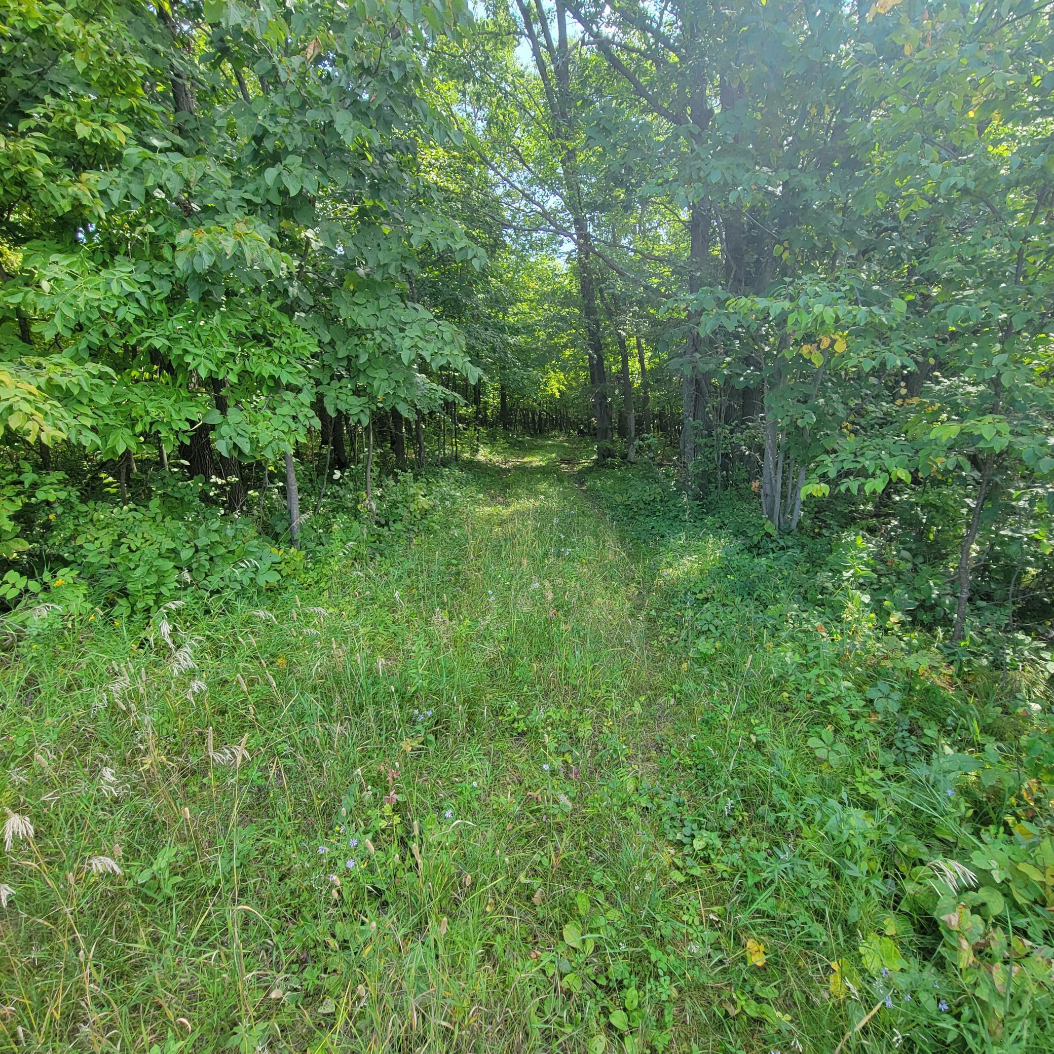 TBD Jeff Lake Road