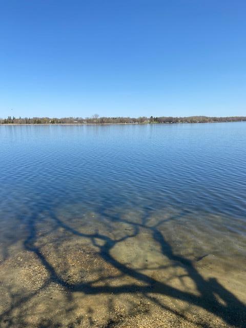 31281 Brightwood Shore Drive