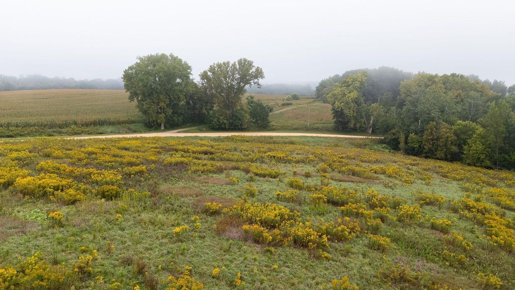 Photo of TBD (Lot 3) Goat Back Road, Pepin, WI 54759 (MLS # 6813972)