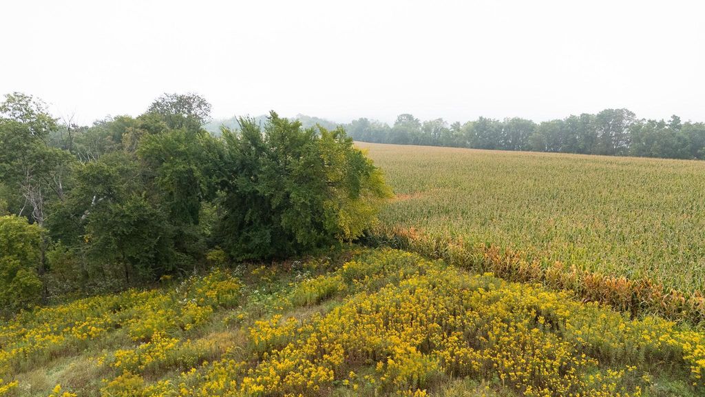 Photo of TBD (Lot 3) Goat Back Road, Pepin, WI 54759 (MLS # 6813972)