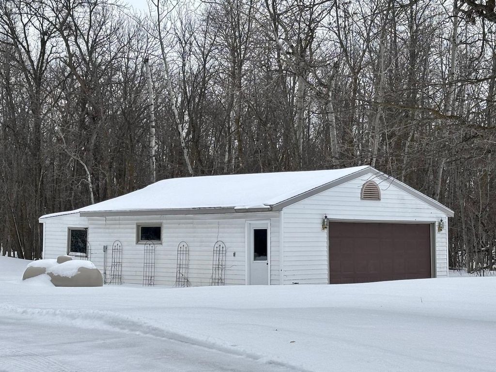 Photo of 14158 185th Avenue NE, Thief River Falls, MN 56701 (MLS # 7015369)