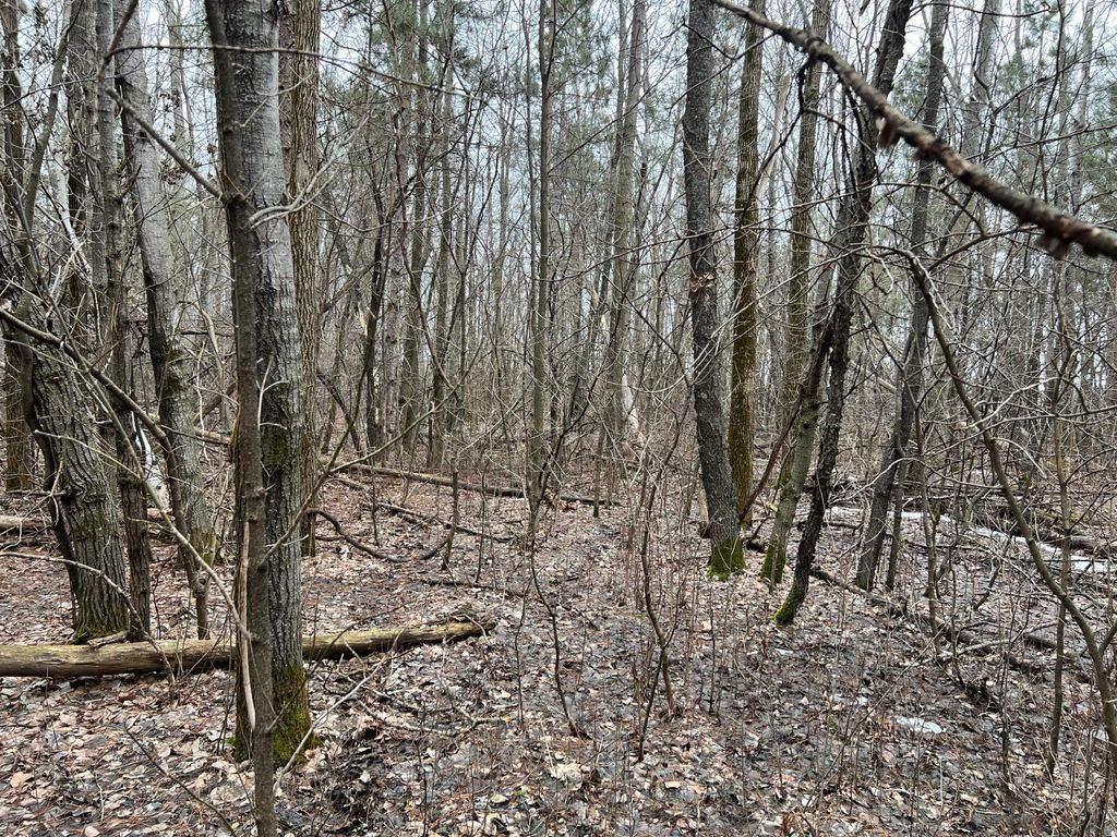 Photo of 311 Empire Builder Dr, Hudson, WI 54016 (MLS # 7031364)