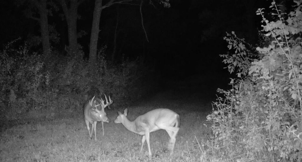 Photo of TBD cty rd 115 +/- 1 County Road 115, Saint Augusta, MN 56301 (MLS # 7008275)