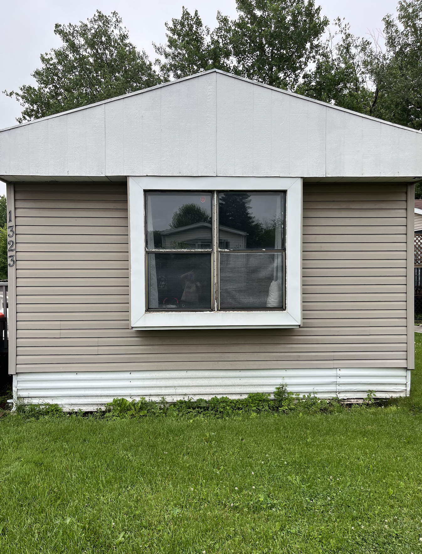 1323 Pine Tree Drive