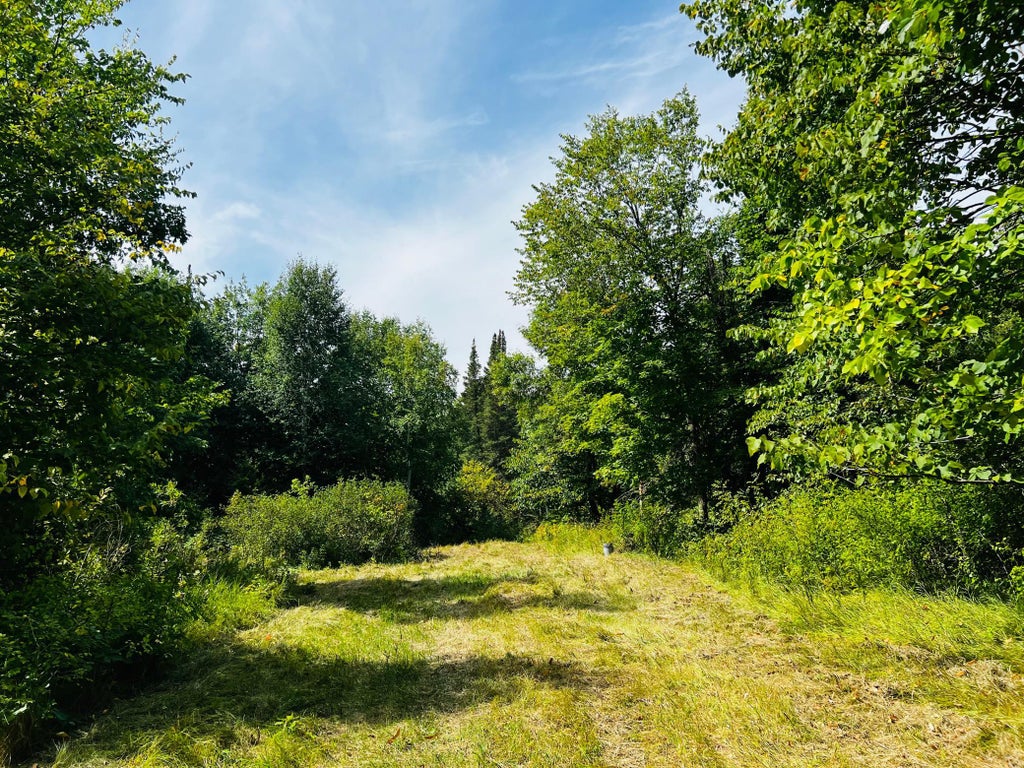 Photo of TBD CO HWY 27, Rochert, MN 56578 (MLS # 7137447)
