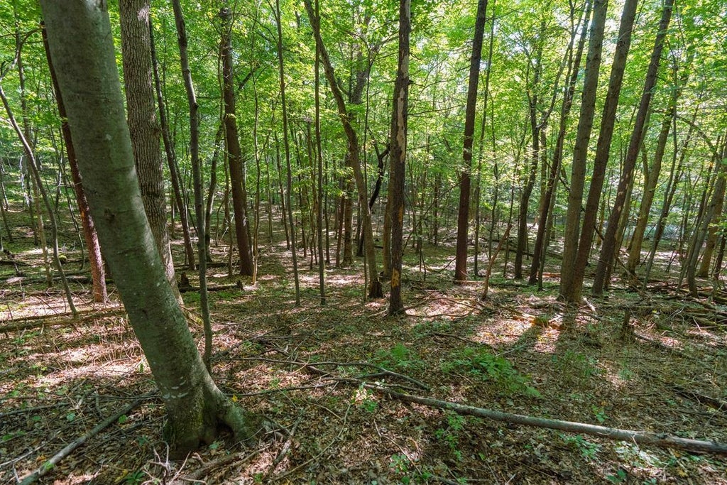 Photo of TBD21 815th Avenue, Menomonie, WI 54751 (MLS # 7152320)