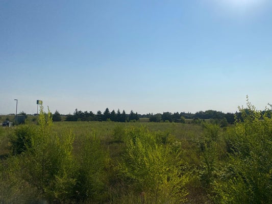 502 19TH AVE N, PRINCETON, MN 55371 - Image 3bb6ea2e5b2e591145ba3daf9b11e576/2933726365