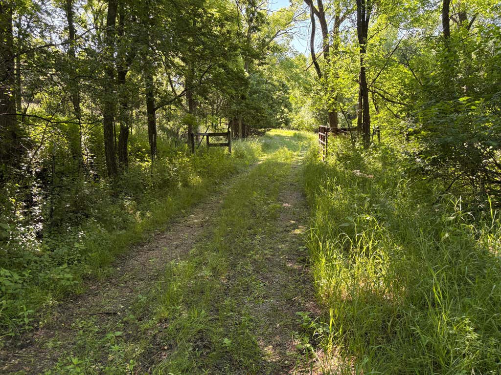 Photo of 78919 145th Street, Sacred Heart, MN 56285 (MLS # 7130001)