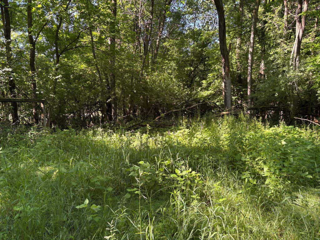 Photo of 78919 145th Street, Sacred Heart, MN 56285 (MLS # 7130001)