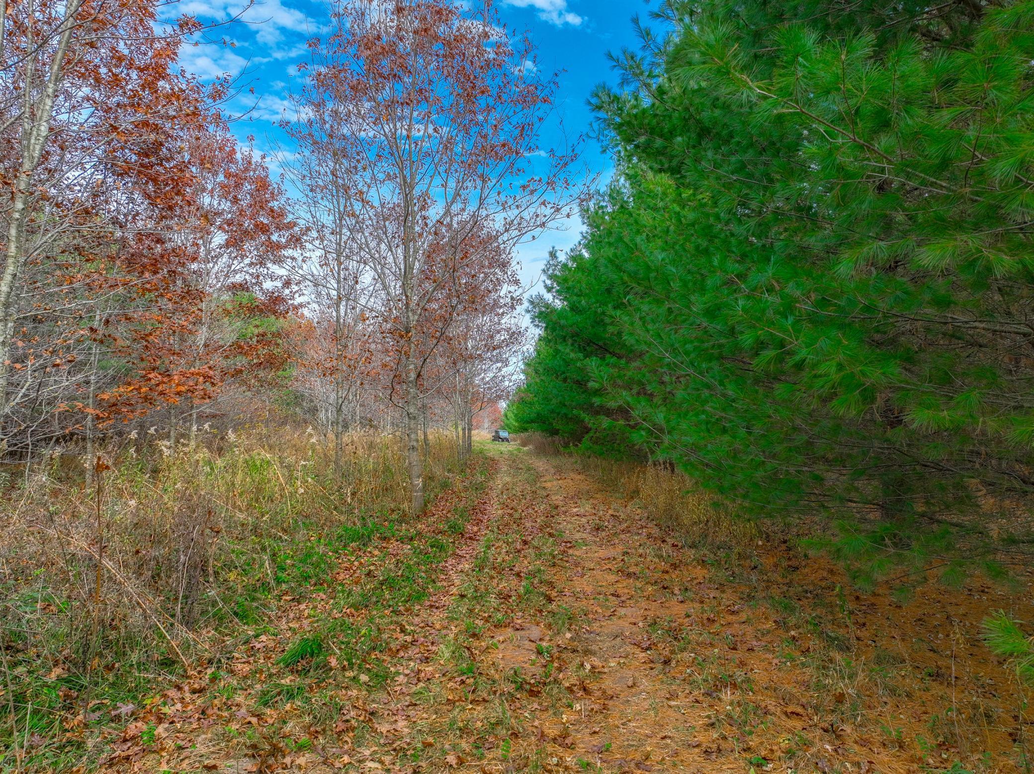 xxx Lot#27 110th Avenue