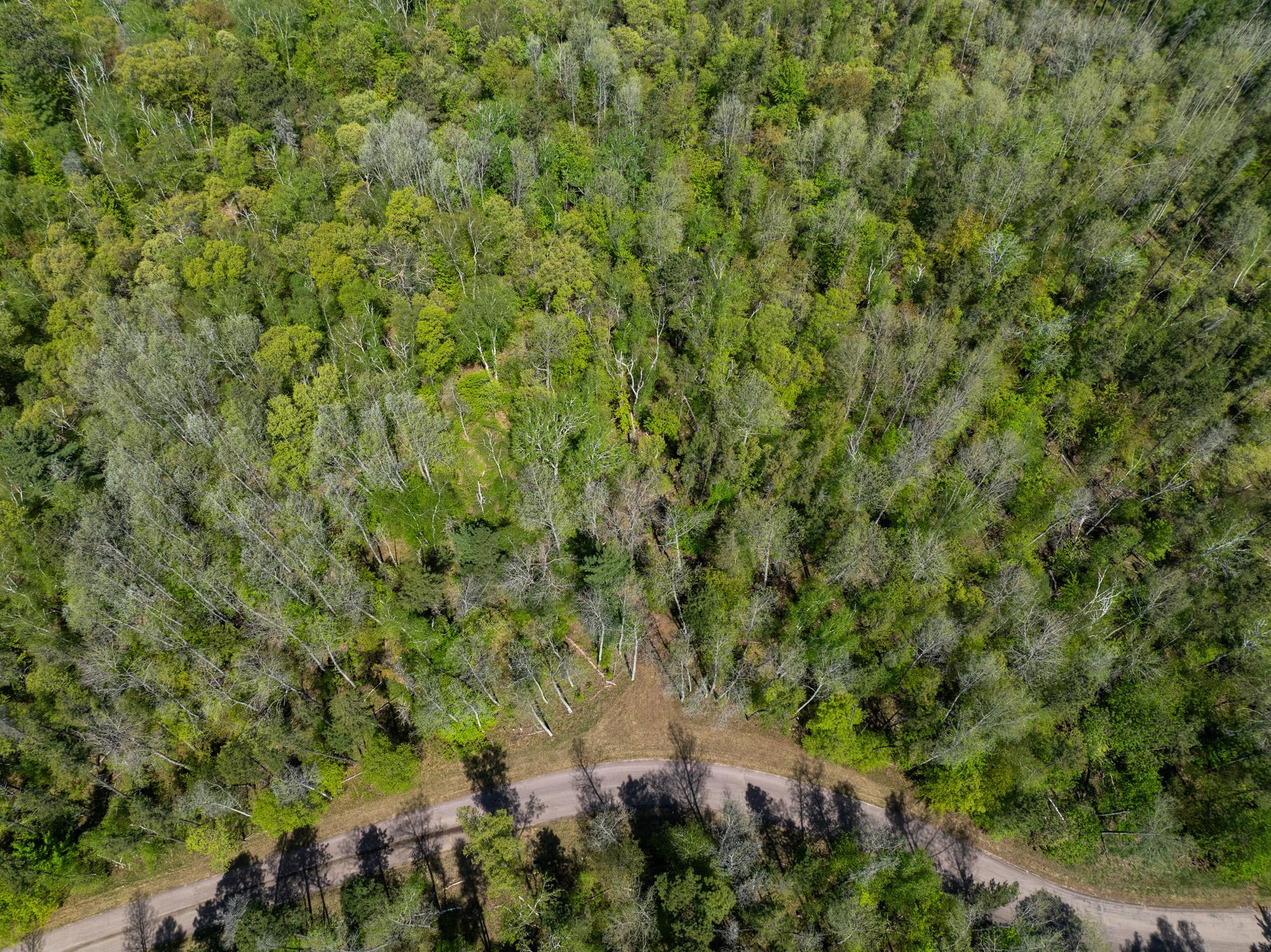 TBD Hidden Creek Court