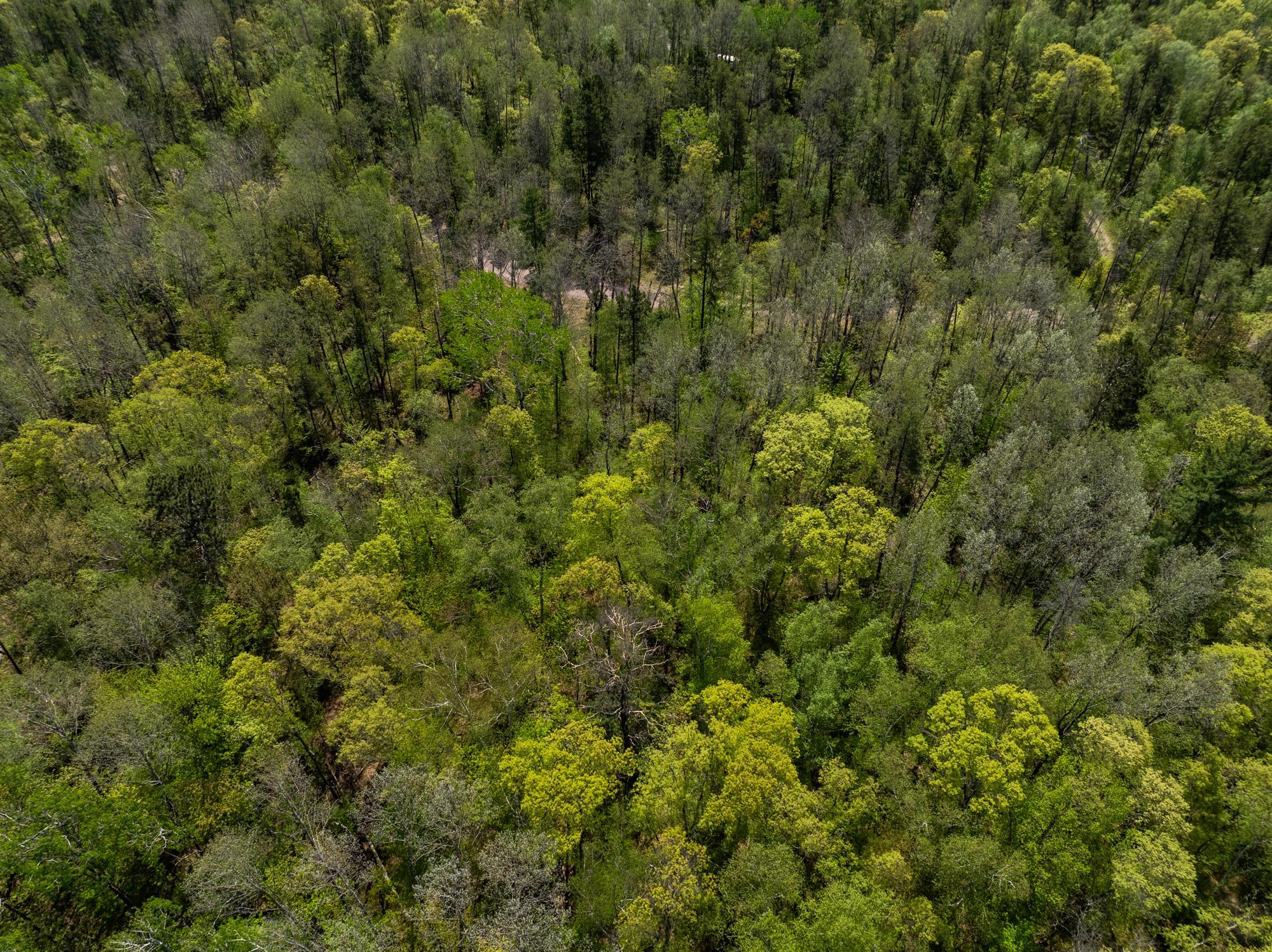 TBD Hidden Creek Court
