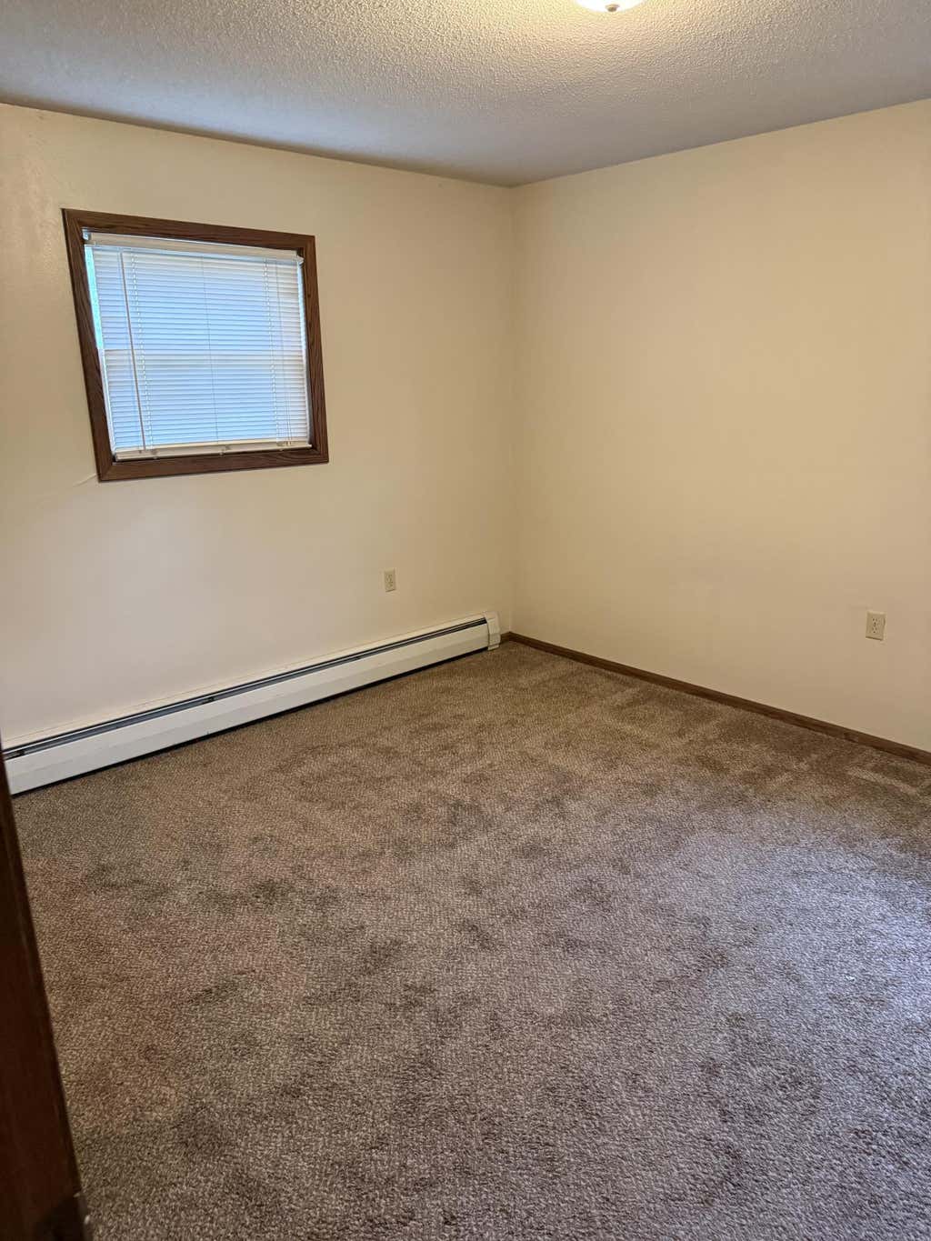 Photo of 305 N Van Buren Avenue, Springfield, MN 56087 (MLS # 7129280)