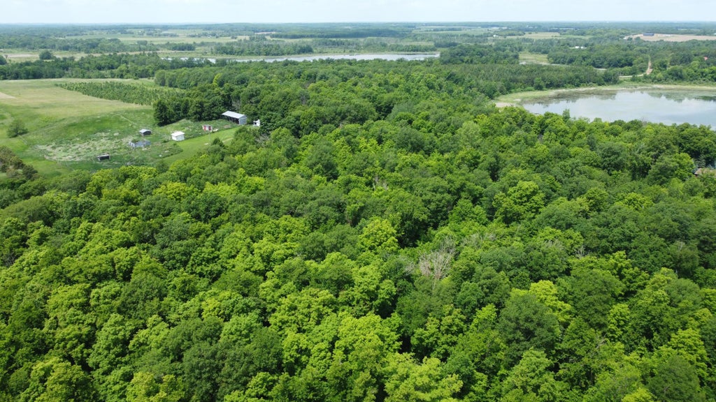 Photo of TBD 355th Street, Richville, MN 56576 (MLS # 7135749)